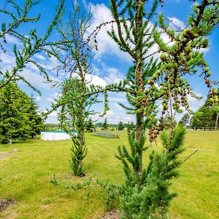 Pension Zum Reiterhof Schmogrow ภายนอก รูปภาพ